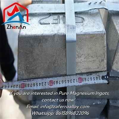 99.95% Az91d Pure Mg Ingots